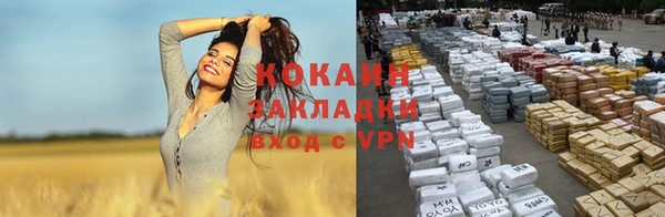 стафф Щёлкино