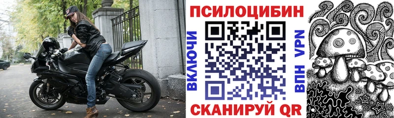 Галлюциногенные грибы Psilocybe  Купить где  Новохопёрск 