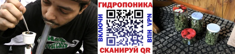 Купить закладки  Новохопёрск  Каннабис AK-47 